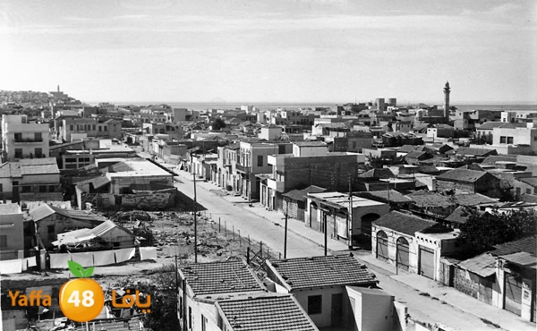 yaffa old pcur (10).jpg